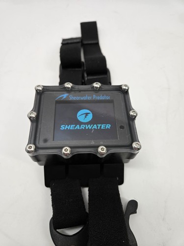 Shearwater predator dive - shearwater,