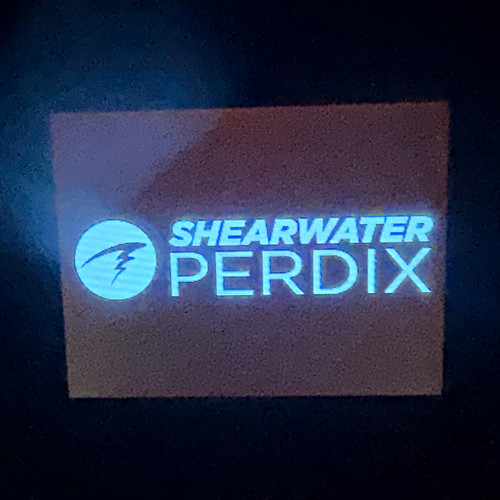 Shearwater perdix dive - perdix,